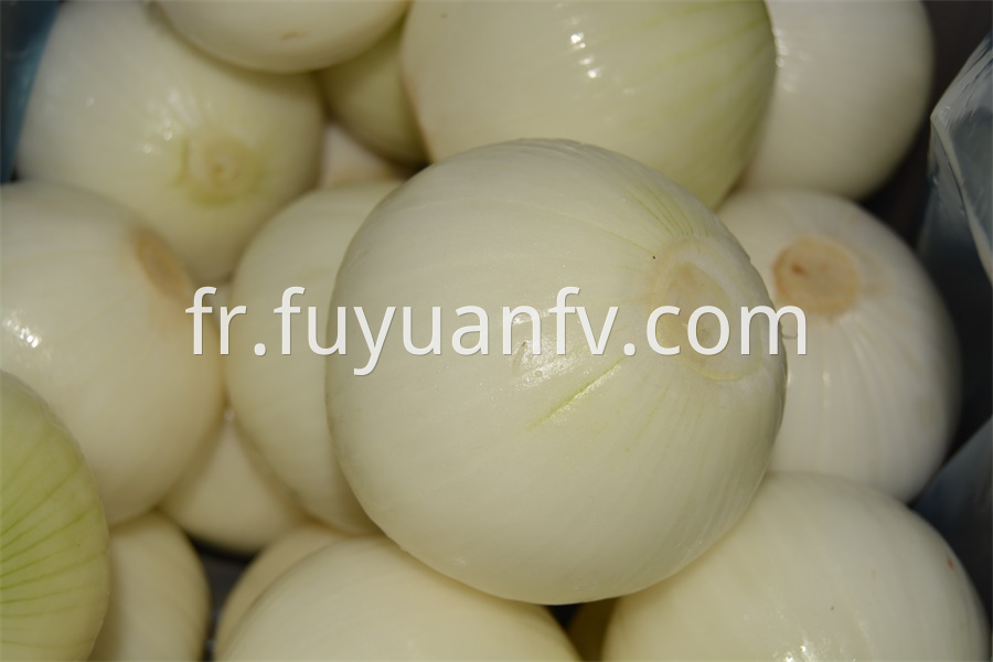 Yellow Peeled Onion